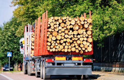 camion madera